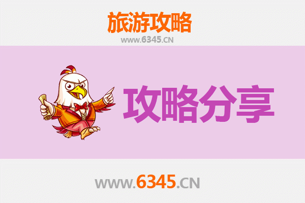 攀枝花仁和至湄洲岛旅游攻略：跟团与自由行深度对比